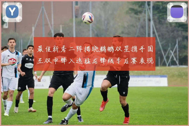 最佳新秀二阵揭晓鹈鹕双星携手国王双中锋入选猛龙锋线季后赛表现抢眼